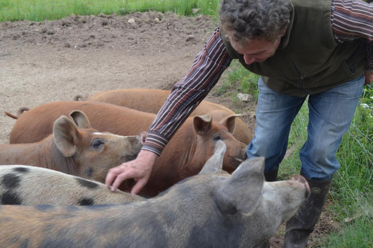 Notre éleveur avec les cochons